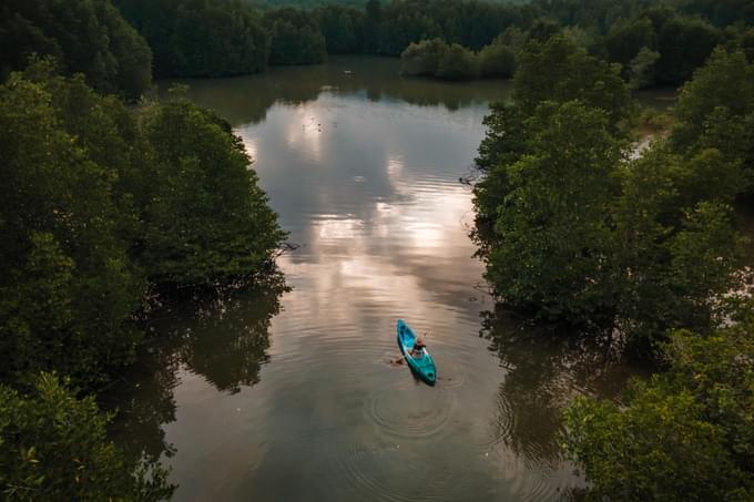 Kayaking in Mangroves