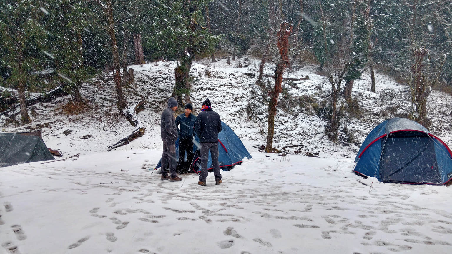 Photo from Tara Nayar's trip