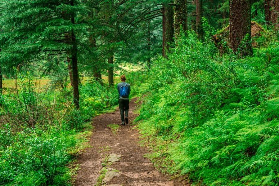 Sainj Valley Trek