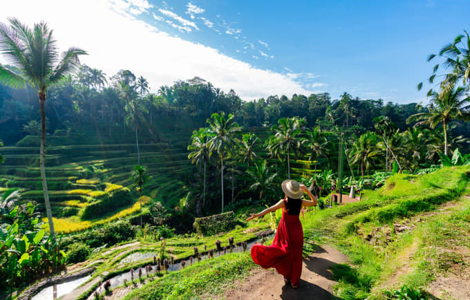 Girl enjoying the view of the Tegallalang Rice Terraces