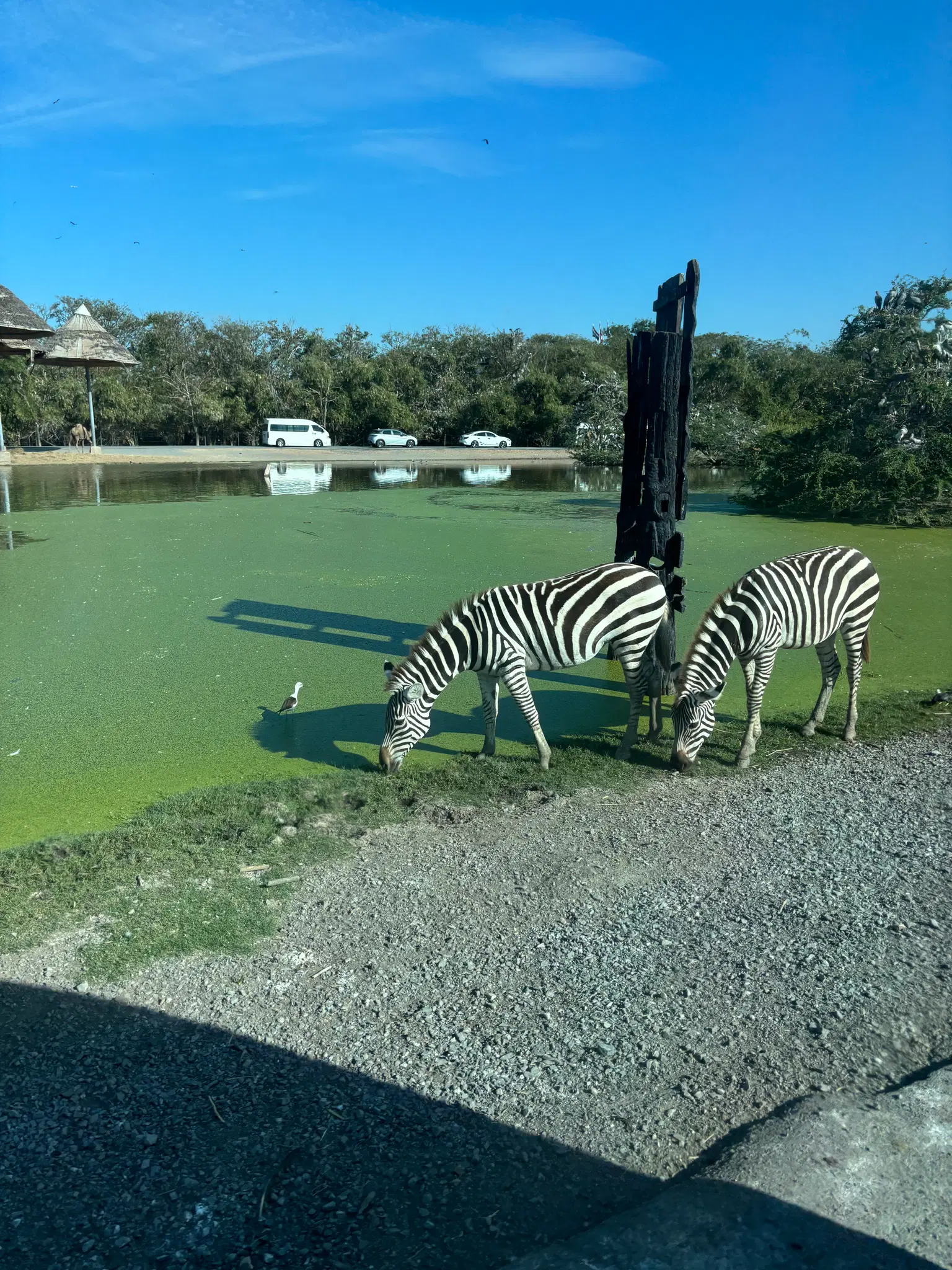 Photo from Anjali Varma's trip
