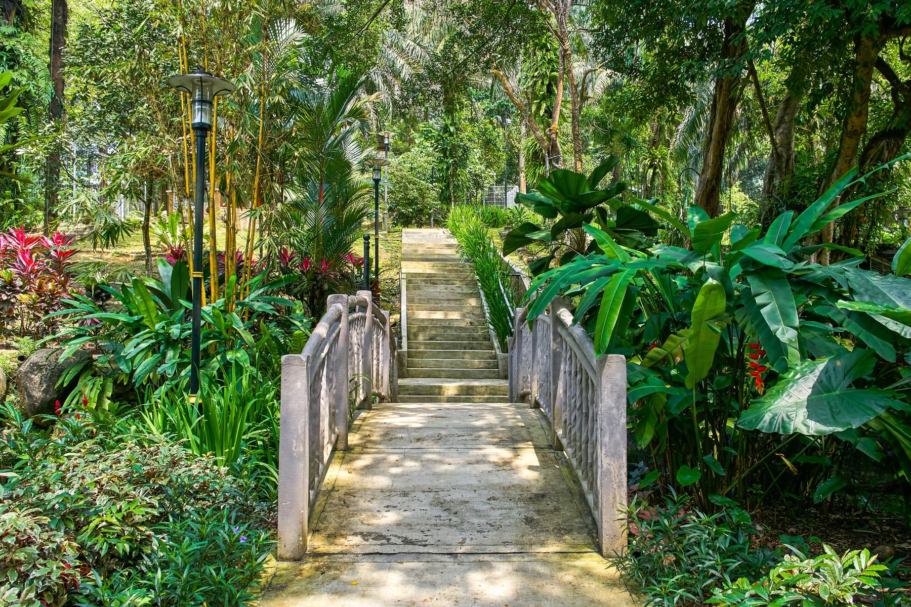 Know Before You Visit Perdana Botanical Garden