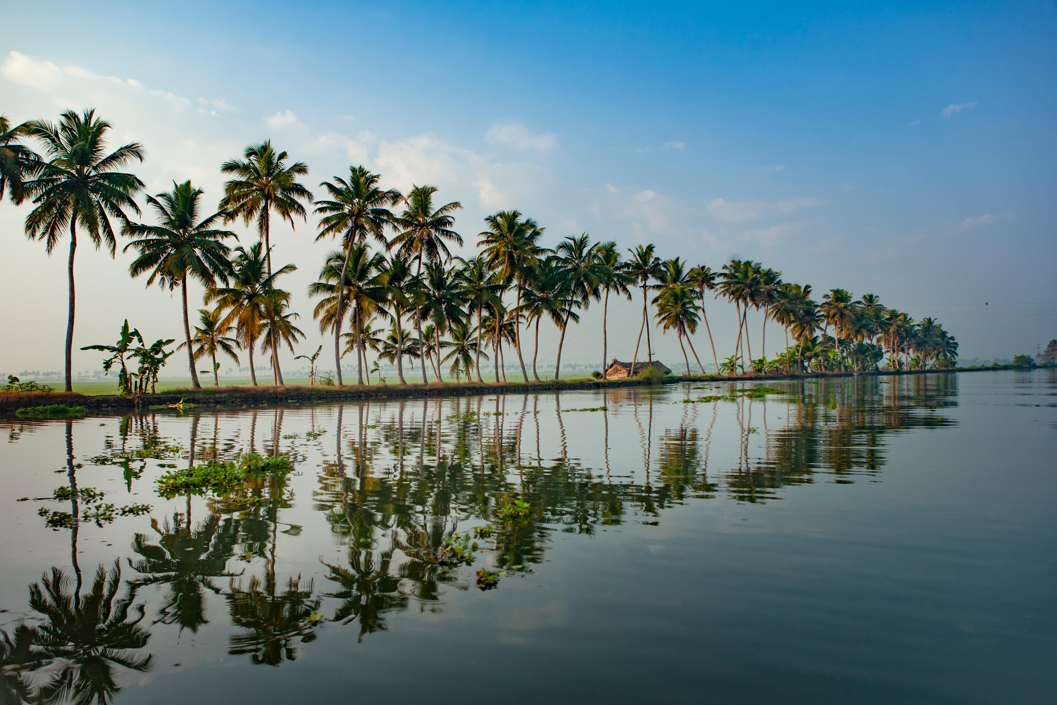 Best Places To Stay in Kumarakom