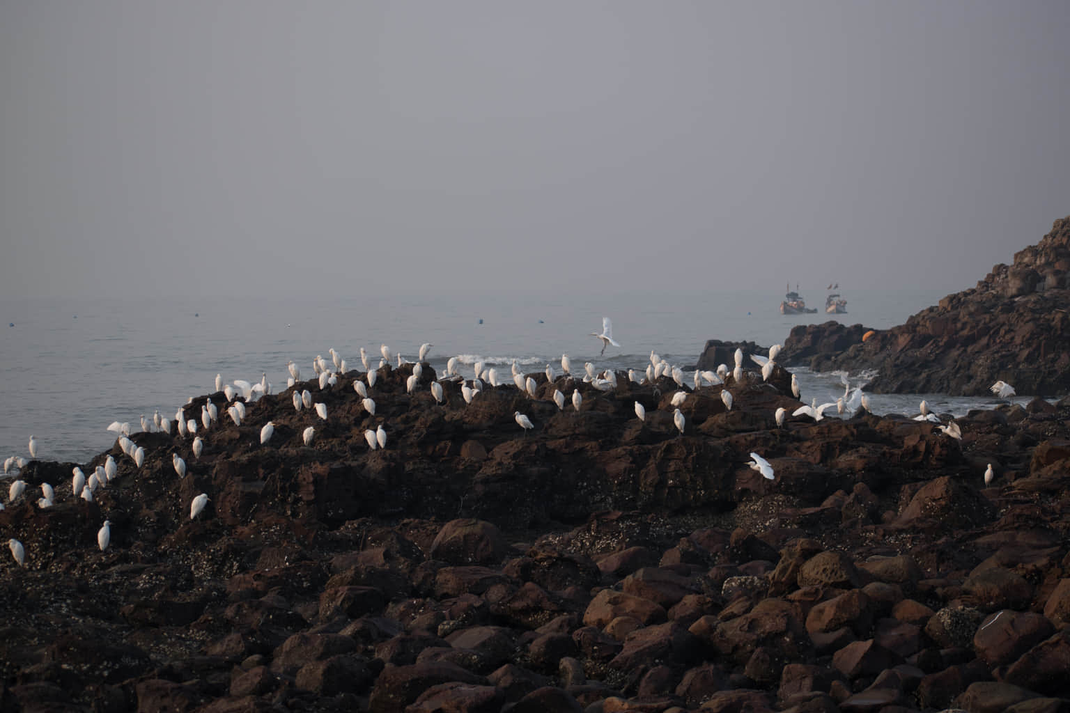 Madh Island, <em>Mumbai</em>