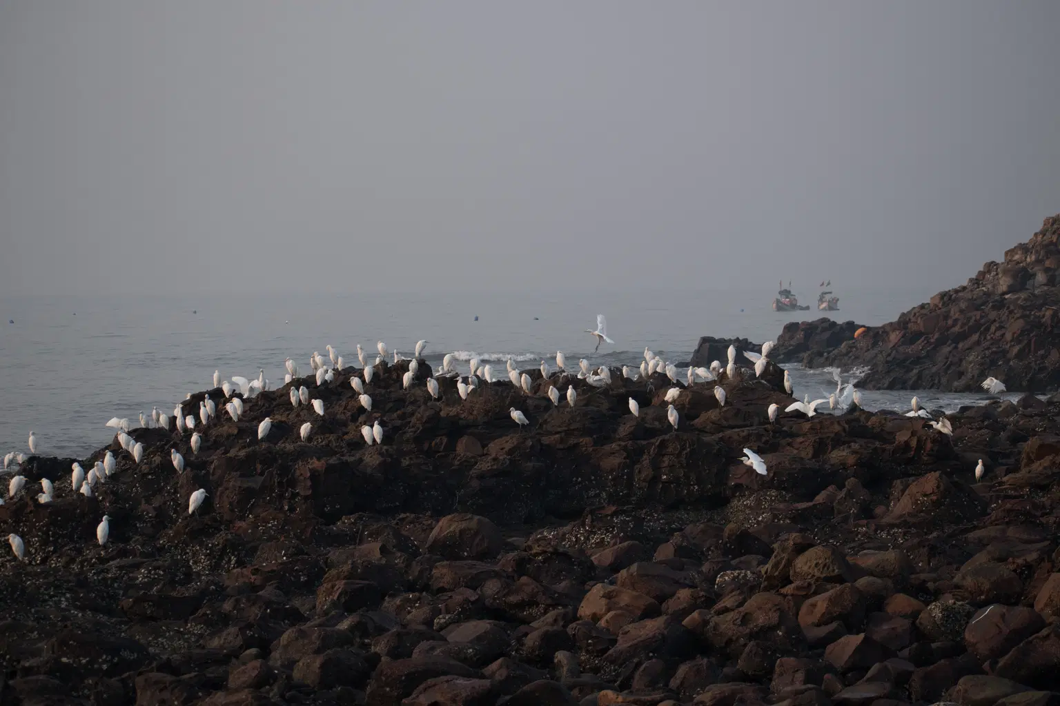 Madh Island