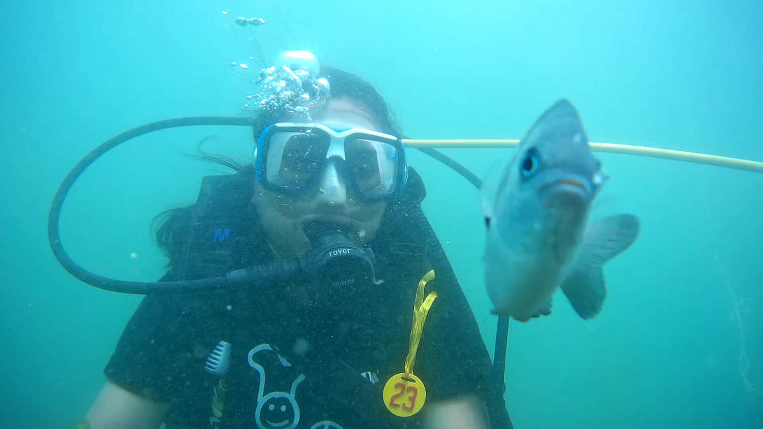 Photo from sbarman24 's trip