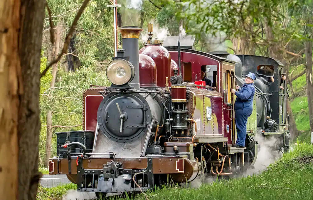 Puffing Billy & Healesville Sanctuary Tour, Melbourne