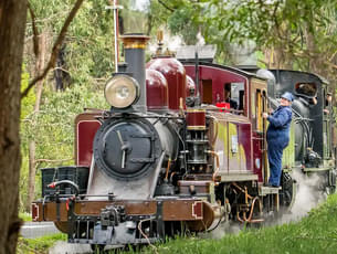 Puffing Billy & Healesville Sanctuary Tour, Melbourne