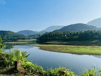 Unwind with a Picnic