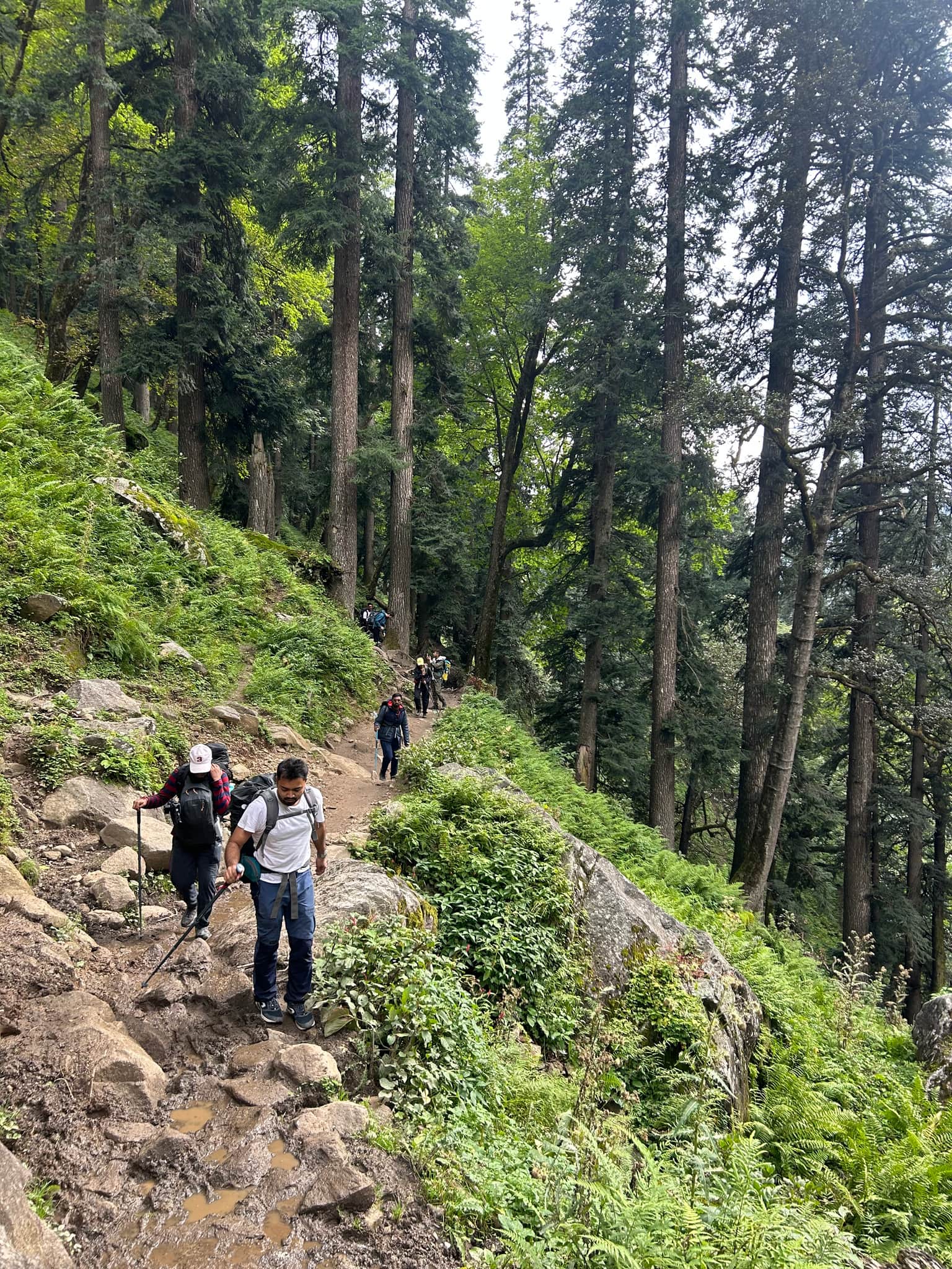 Photo from Pooja Kale's trip