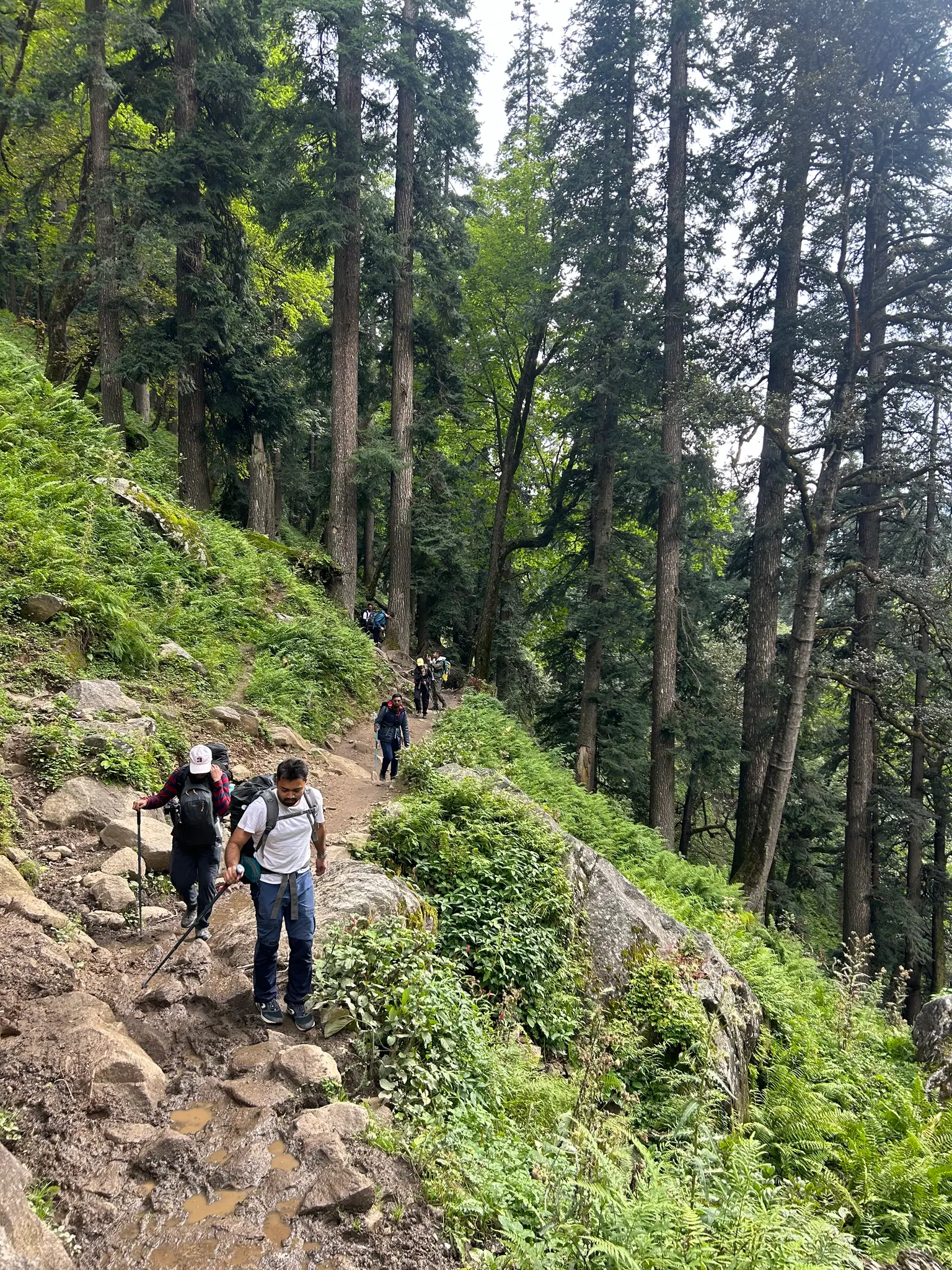 Photo from Pooja Kale's trip