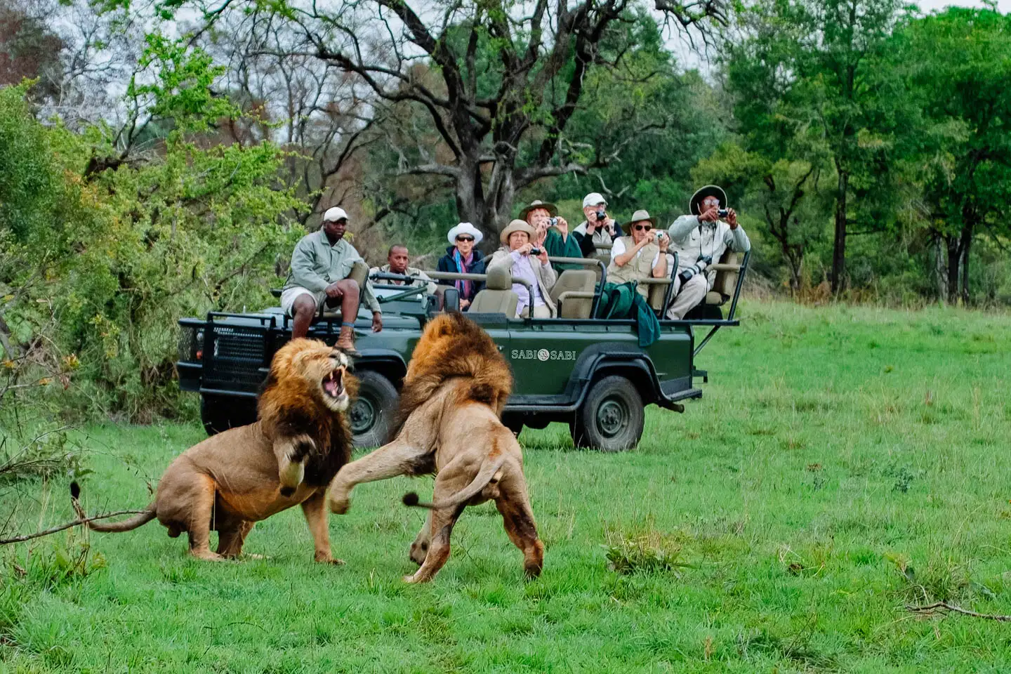 Family Getaway to South Africa with Safari at Kruger National Park