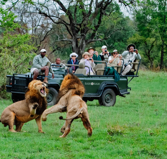 Tourists observing lions at Kruger National Park