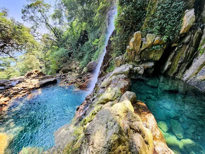Discover emerald pools sparkling under the forest canopy