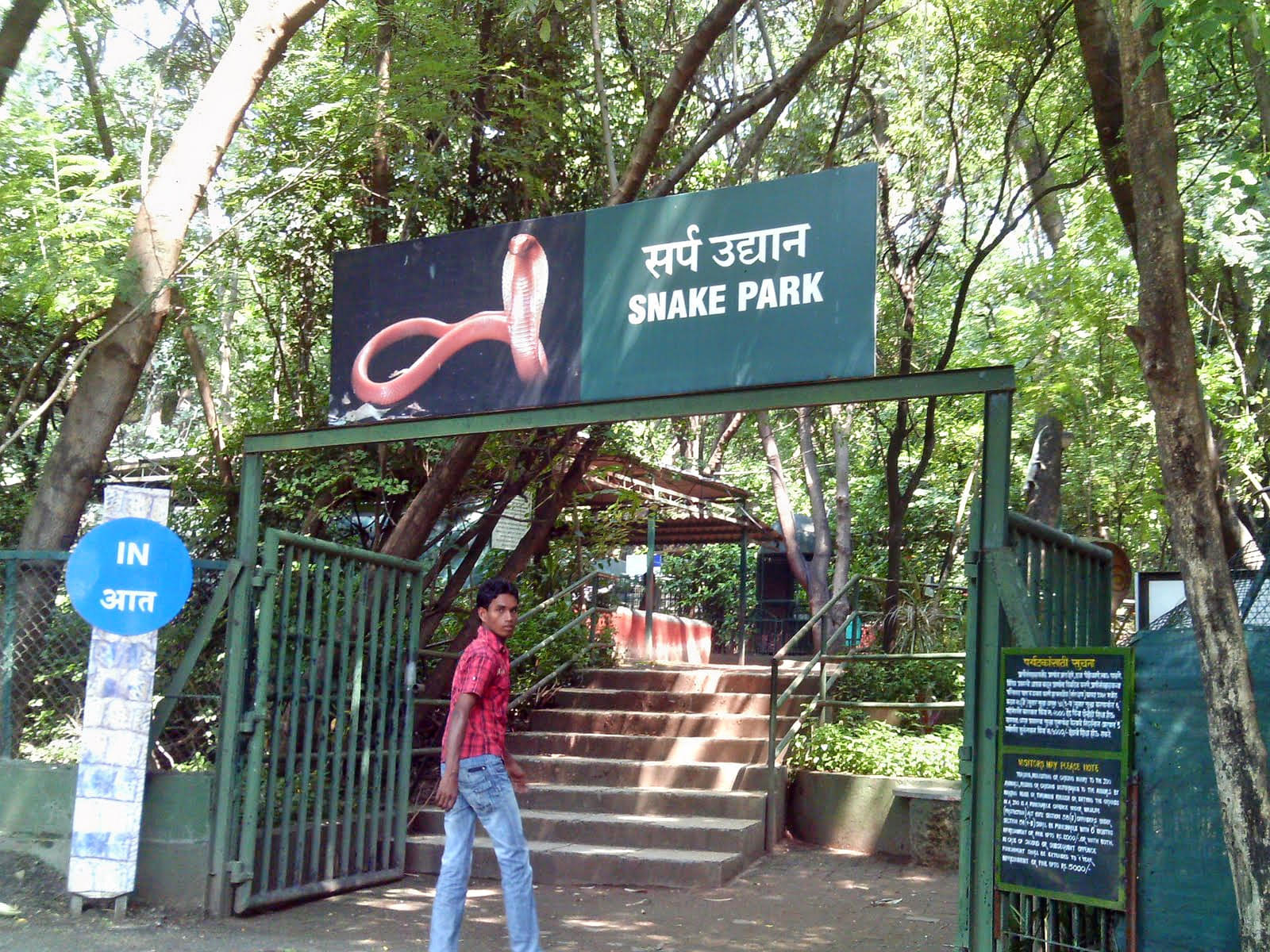 Katraj Snake Park Overview