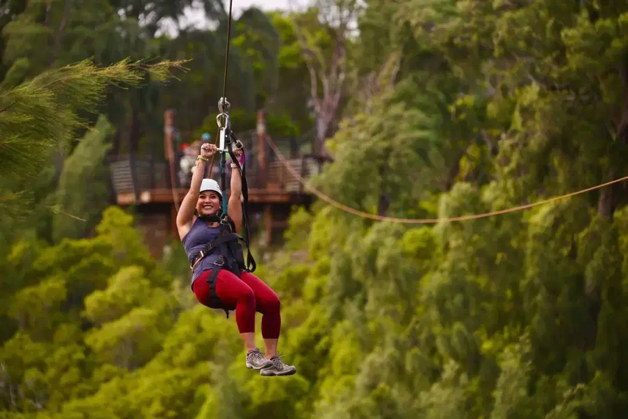 Zipline in Patnitop Image