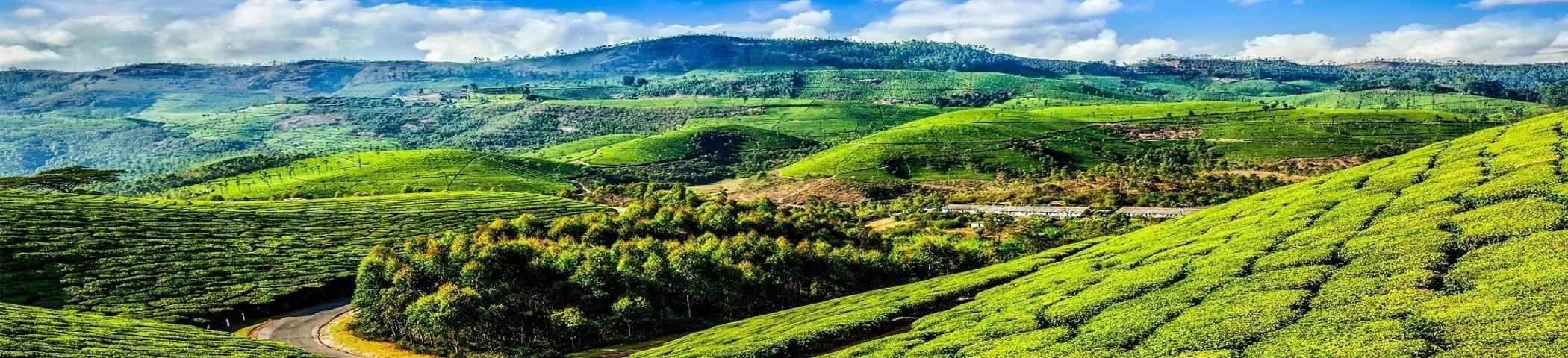 Walking Tours In Munnar