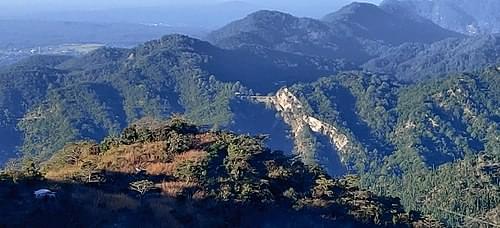 Embark on Forest Trek