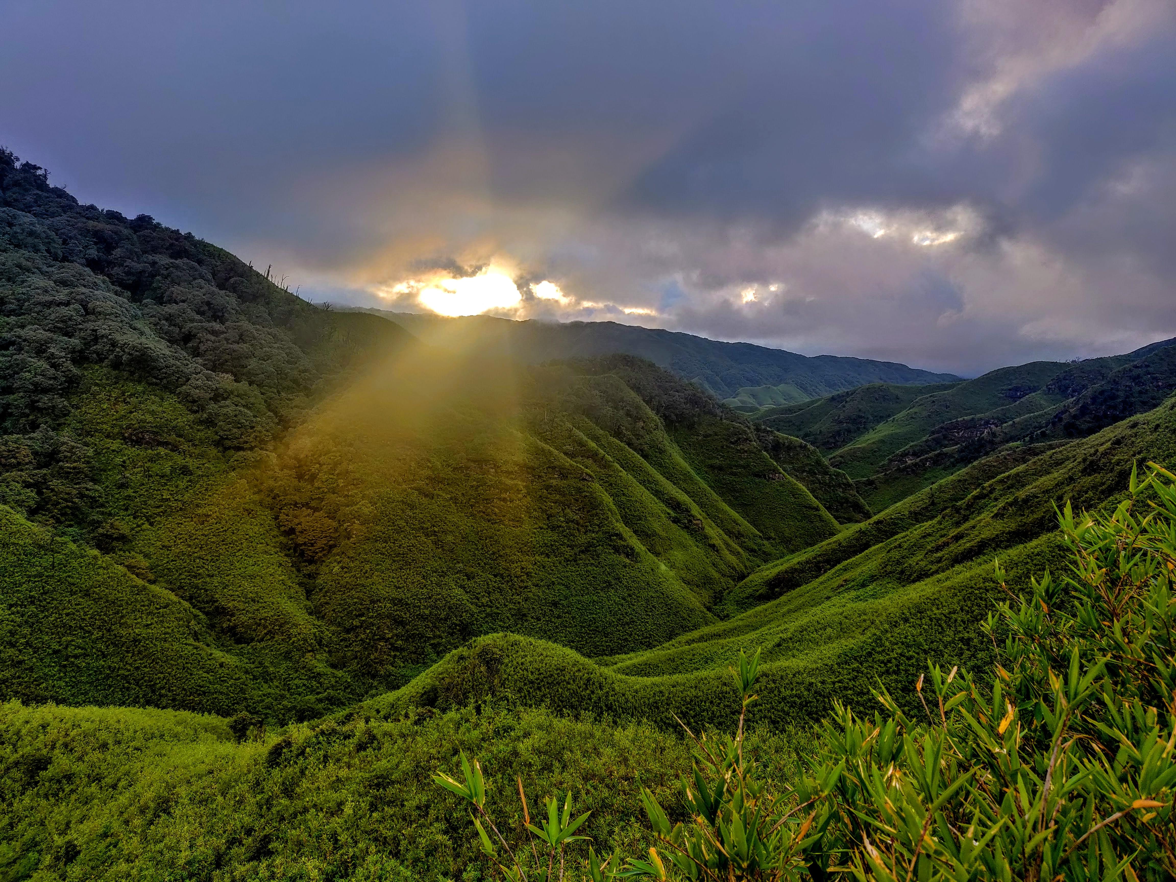 Dzukou Valley: A secret paradise in Northeast India | Travel | Manorama  English