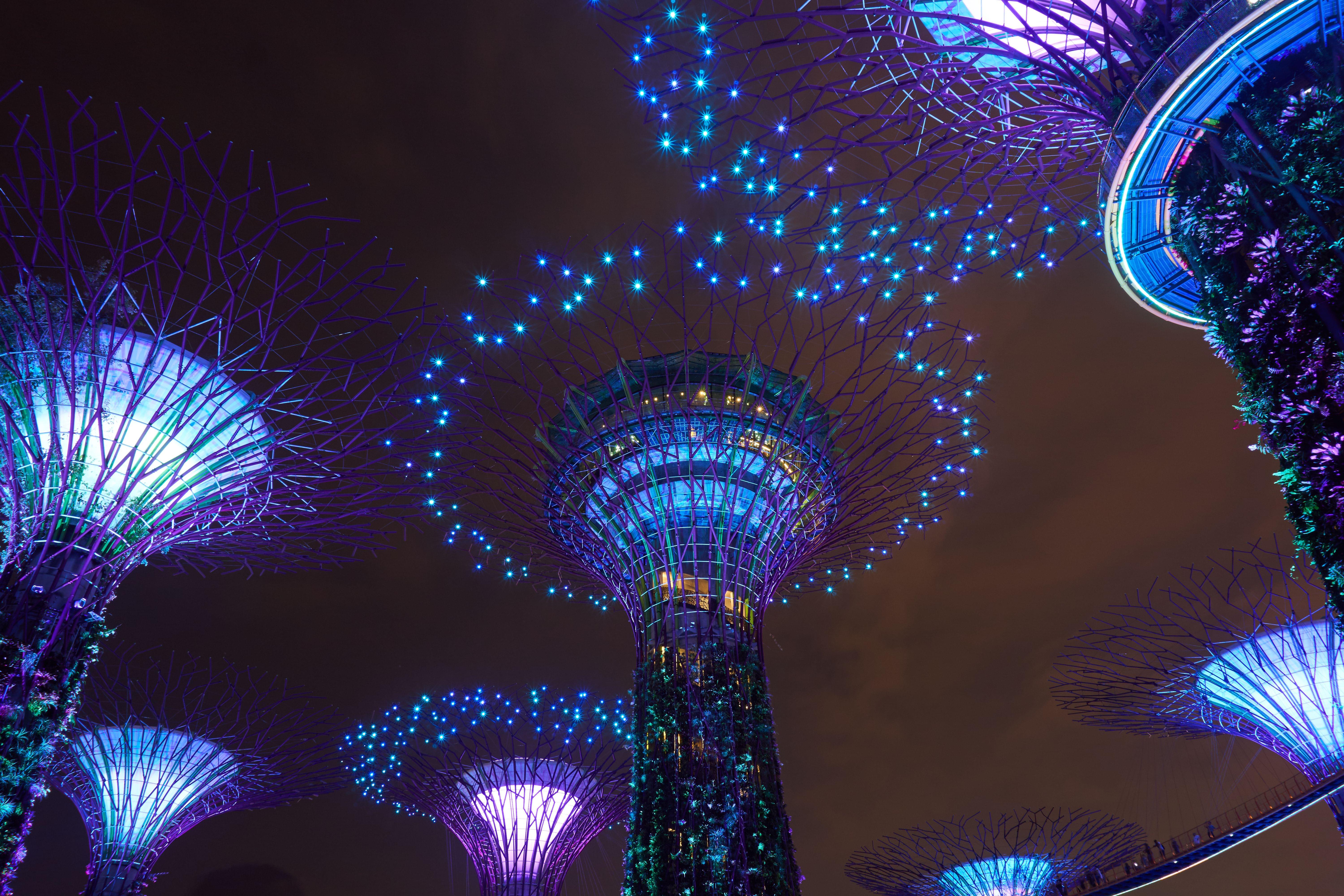 Garden Of The Bay Light Show