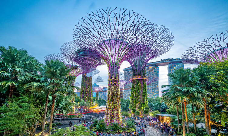 A Glimpse of Futuristic Design at Gardens by the Bay, Singapore