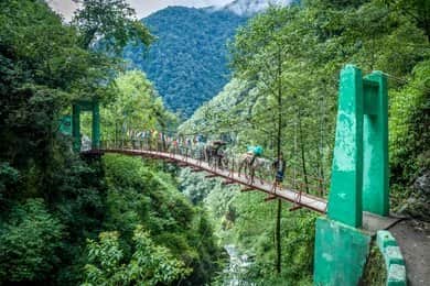 Experience the Suspension Bridge Walk