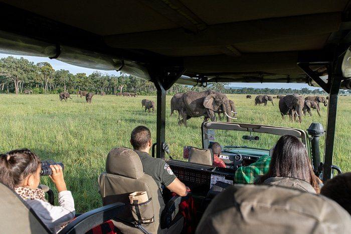Explore Kenya in Style with the Governors Safari