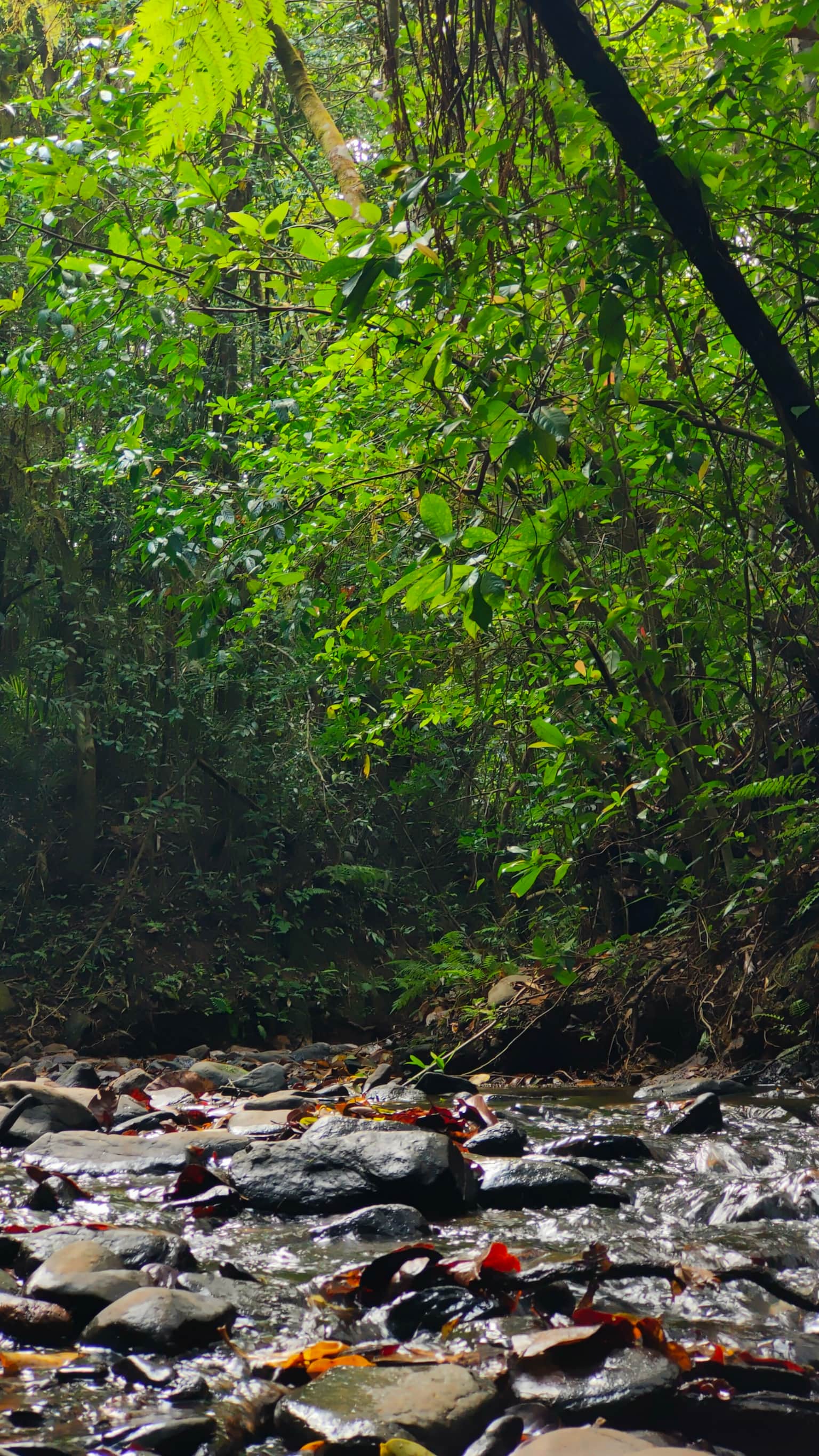 Photo from Lalith Harish's trip