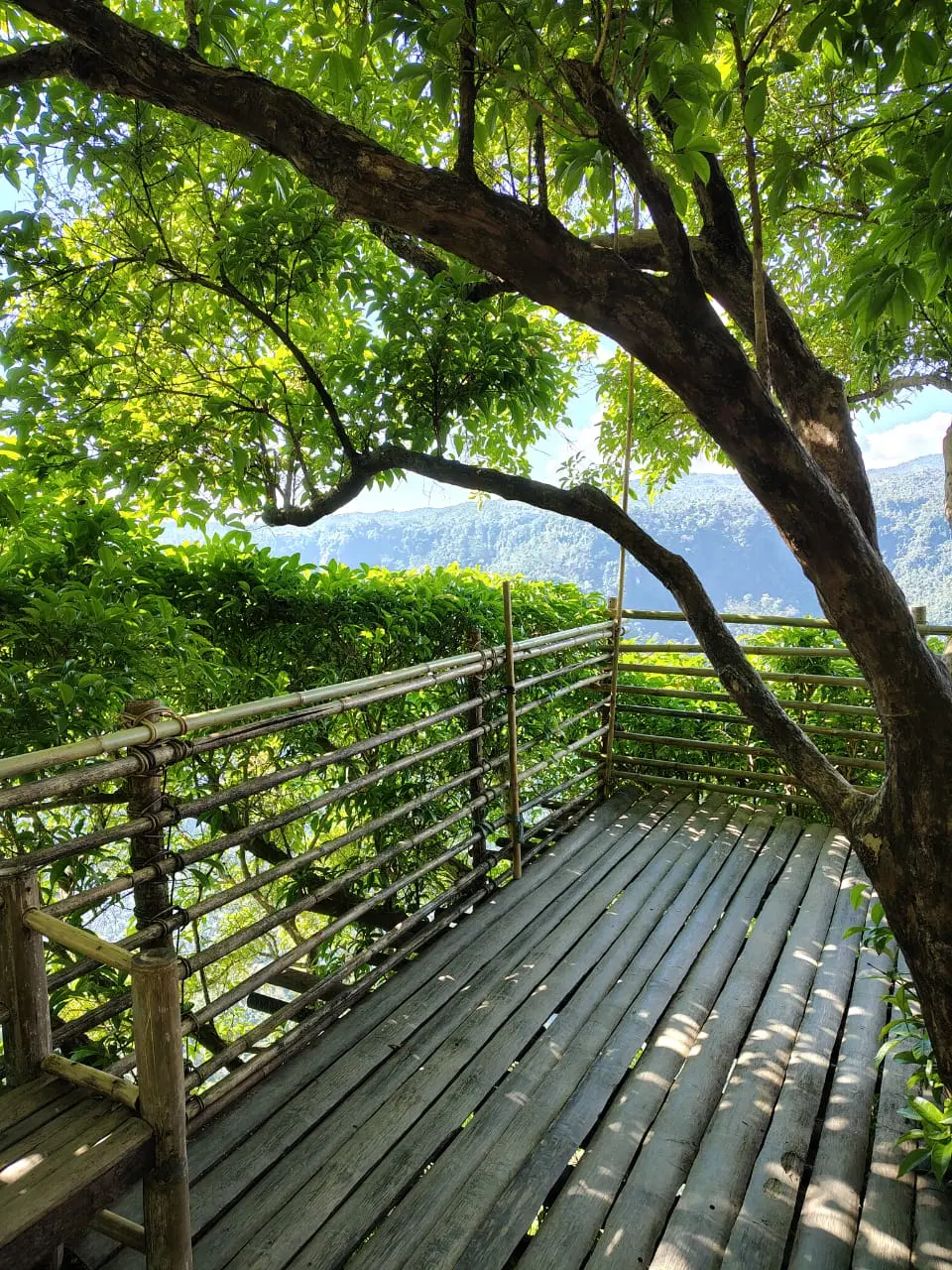 Photo from Christabelle Lemos's trip