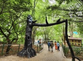 Stroll Through the Zoo Gardens