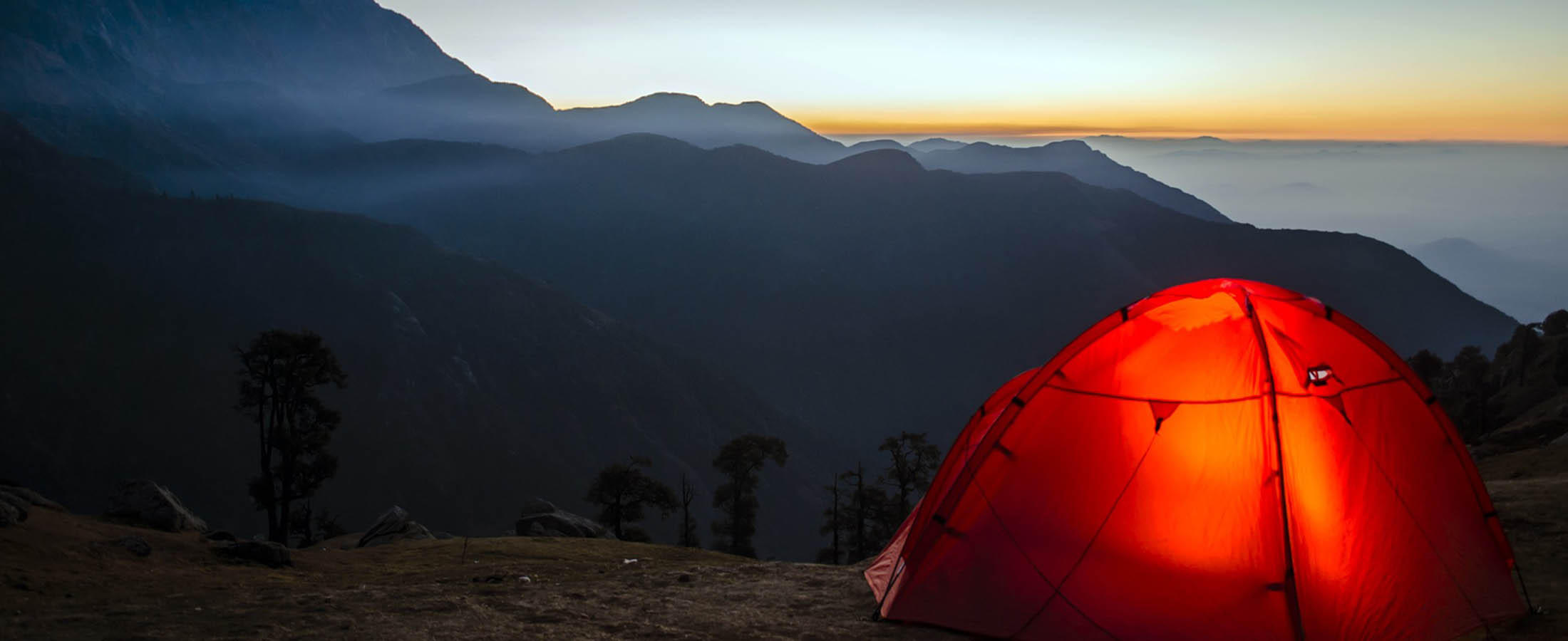 Camping in Tea Gardens of Wayanad