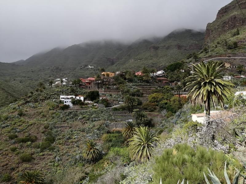 Teide National Park, Volcano Teide & Masca Guided Tour Image