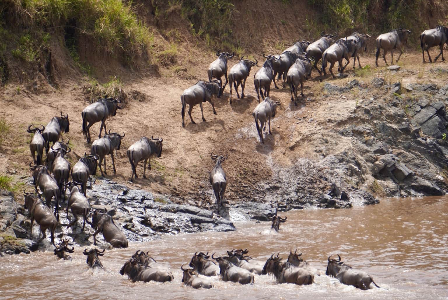 Photo from Akshobhya Upadhya's trip