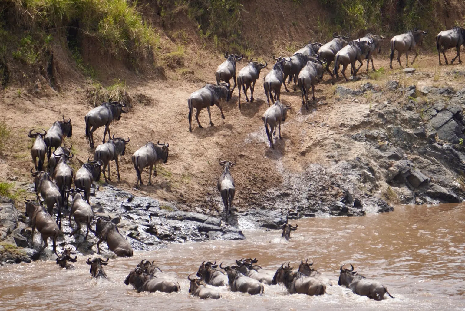 Photo from Akshobhya Upadhya's trip