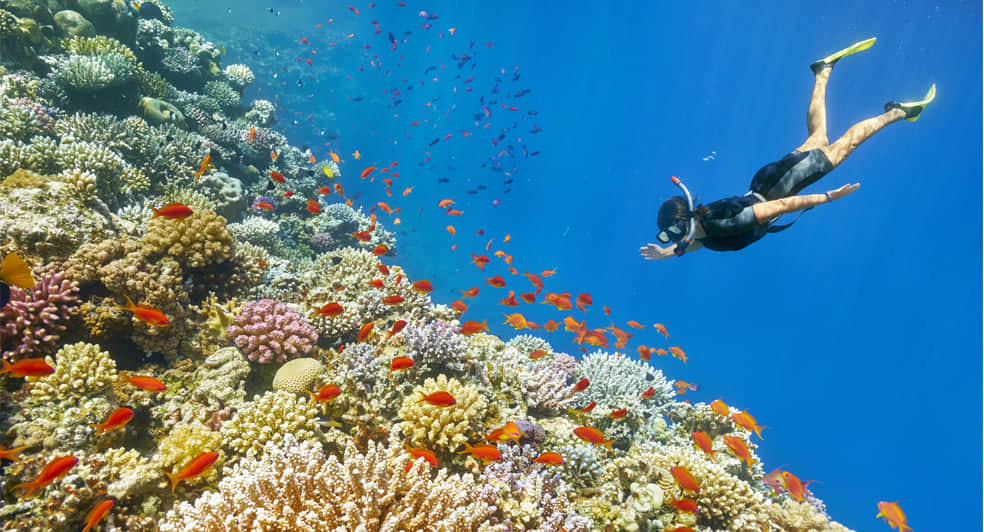 Blue Bay Marine Park, <em>Mauritius</em>