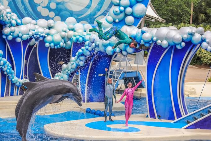 Seaworld San Diego Tickets