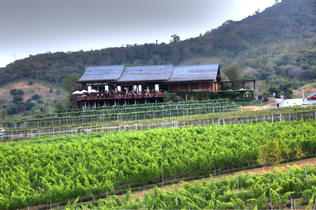 Q6z3tnxr3fjzk8a9xul70eaz4ty9 pixelcut export%20(1)