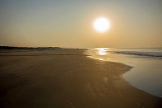 Q7kwon9dg3blfc5xl8we8jn66swn 1585032429 shutterstock 1346795387