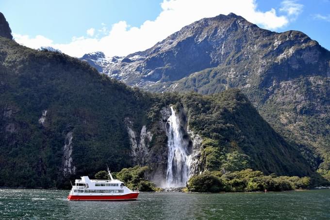 Milford Sound Cruise With Optional Bus Tour