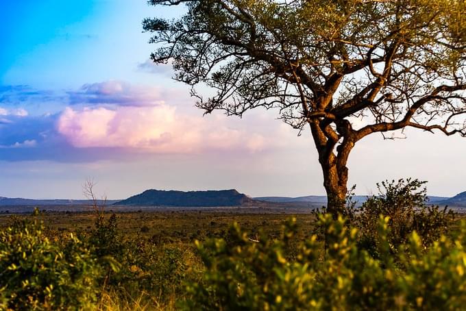 Kruger National Parks.jpg