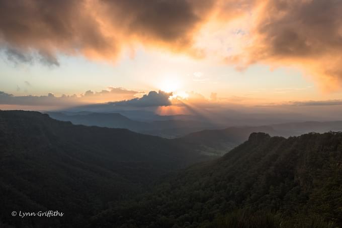 Lamington National Park