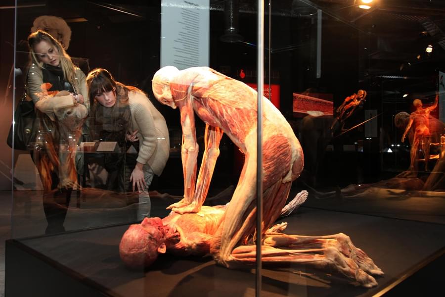 Immerse yourself in Body Worlds Amsterdam