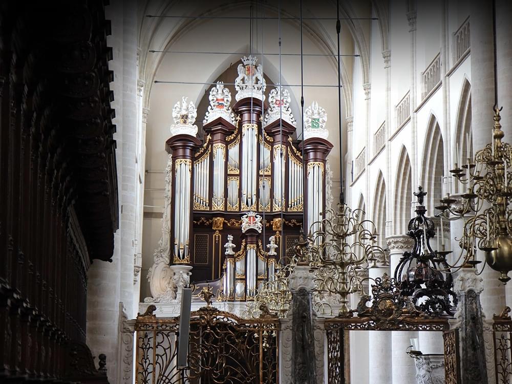 Check out the Renaissance Organ