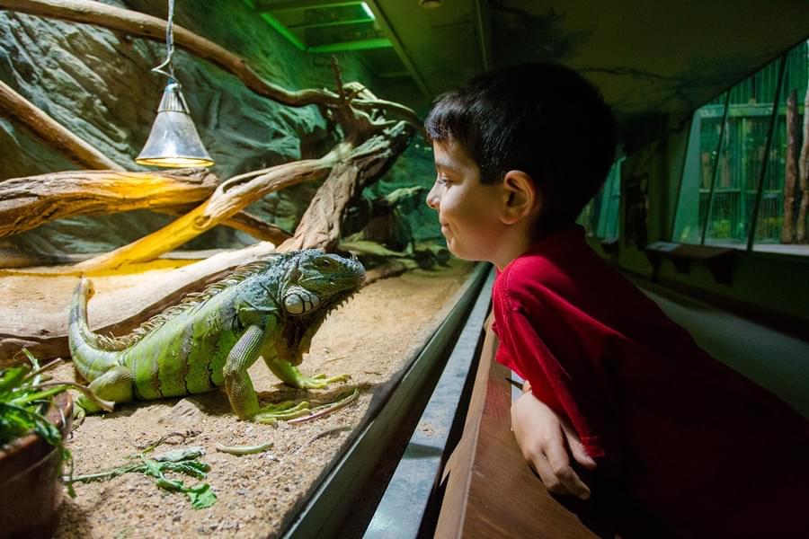 Your kids will love watching wild creatures in the Children’s Zoo