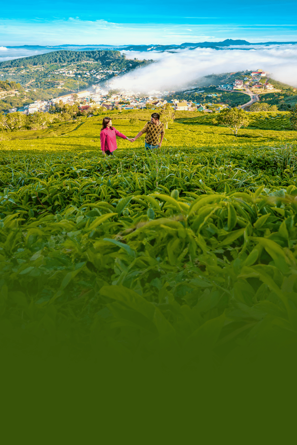 Romantic Getaway to Kerala | From Munnar Peaks to Backwater Peace