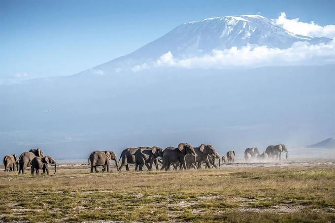 Mount-Kenya-national-park (1).jpg