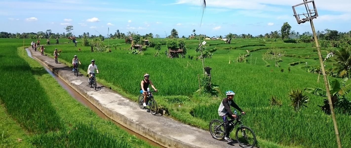 Ubud Cycling Tour Image