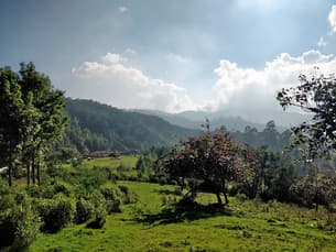 Qa3o7b6w4sftkkx16vqifll6krdy 1575527664 img 20191122 wa0045