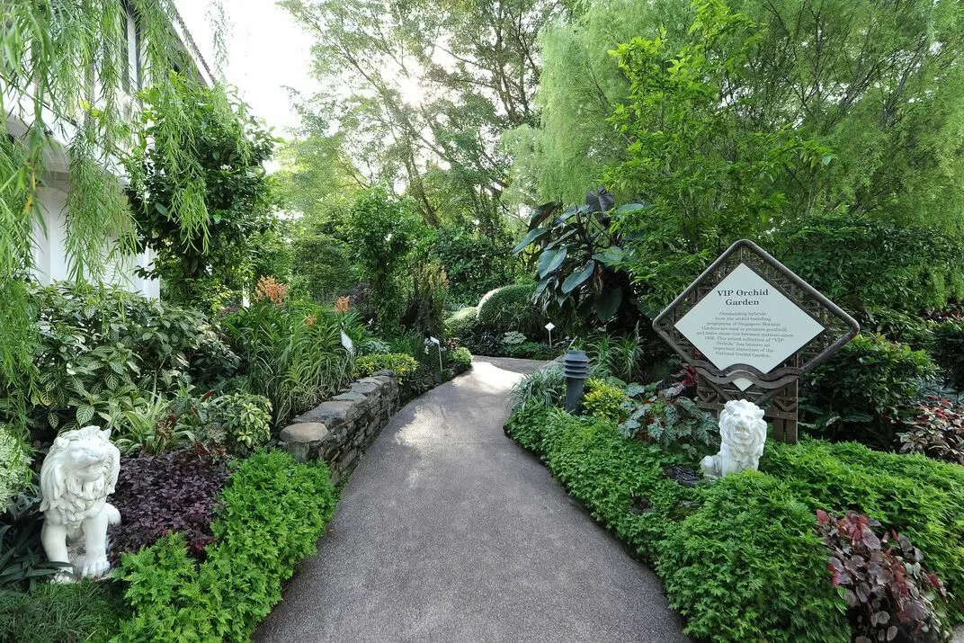 National Orchid Garden