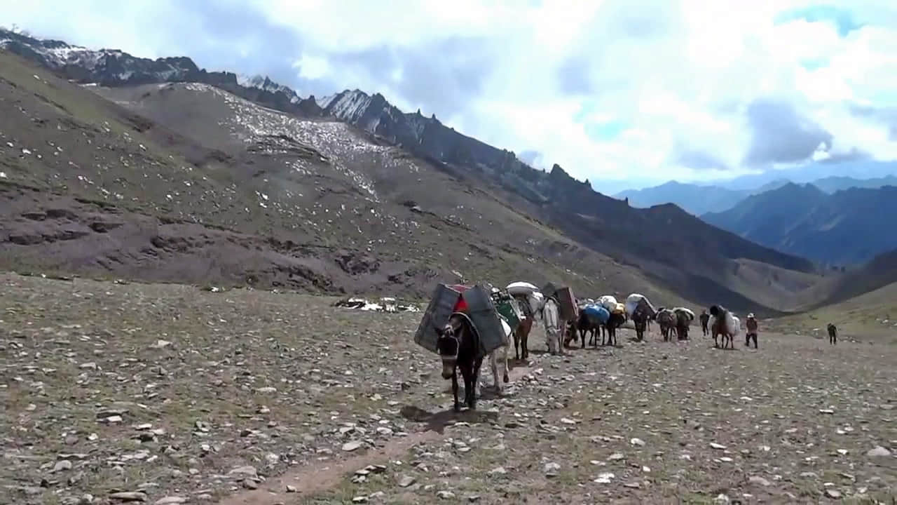 Photo from Adhiraj Kakkar's trip